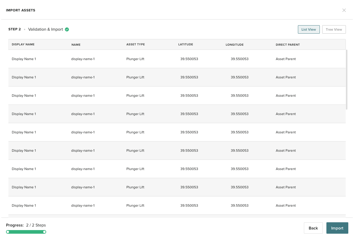 List View of Assets in CSV File before Import